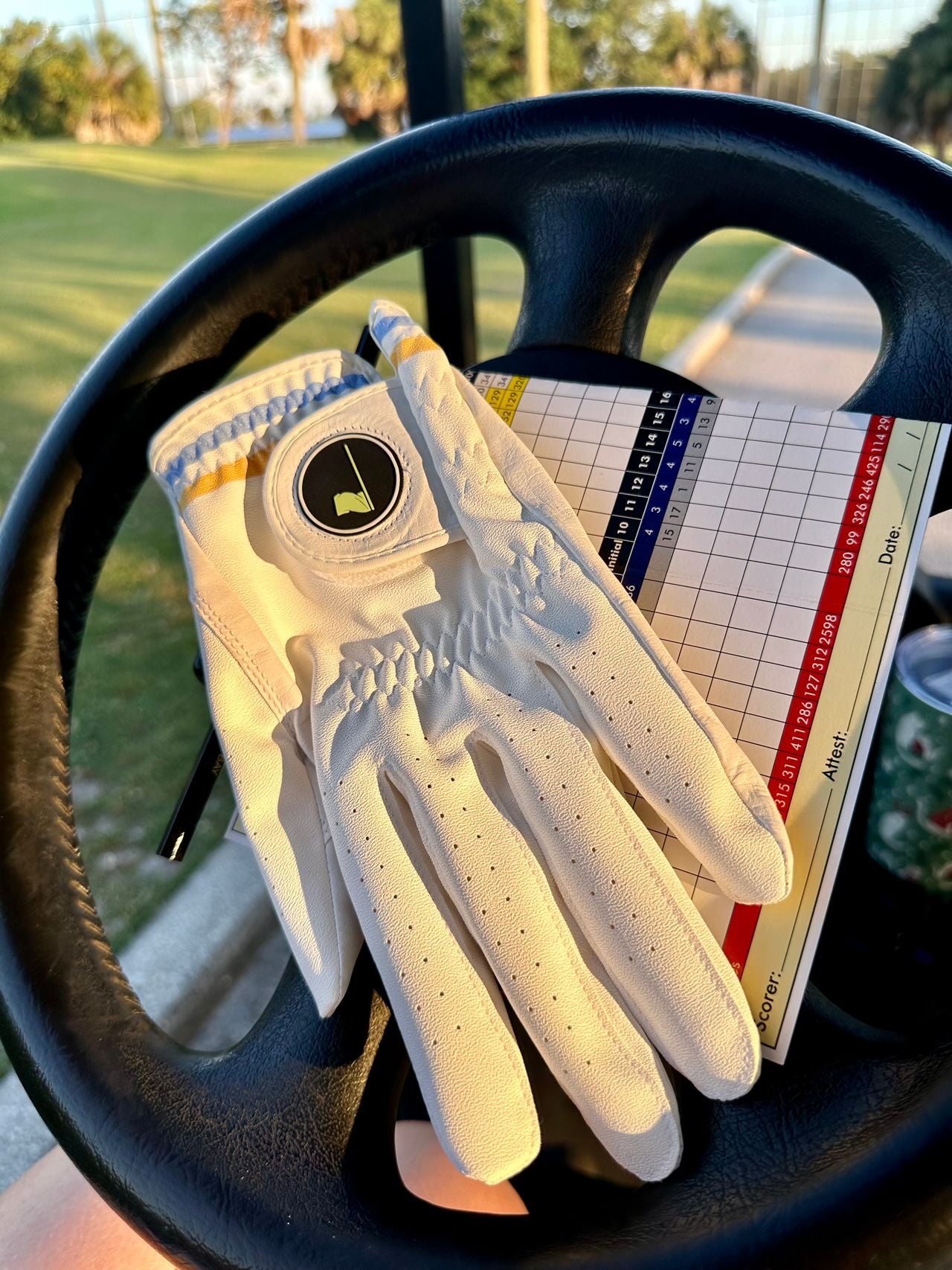 Two Putt Glove